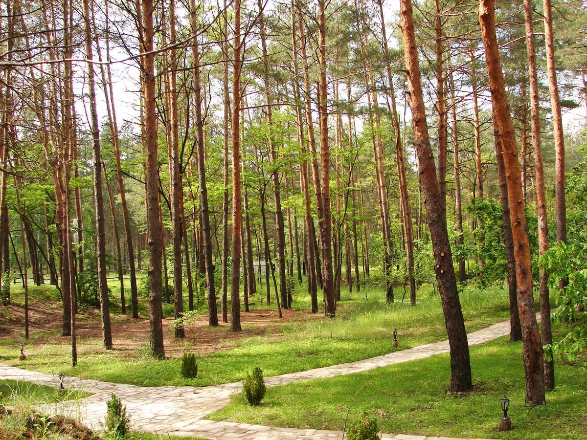 Pershyi Kordon Tourist Complex Ξενοδοχείο Medvedevka Εξωτερικό φωτογραφία